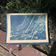 Load image into Gallery viewer, Cyanotype Workshop with Zoë Gleitsman Sunday 6/14/26 10am to 12noon
