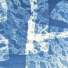 Load image into Gallery viewer, Cyanotype Workshop with Zoë Gleitsman Sunday 6/14/26 10am to 12noon