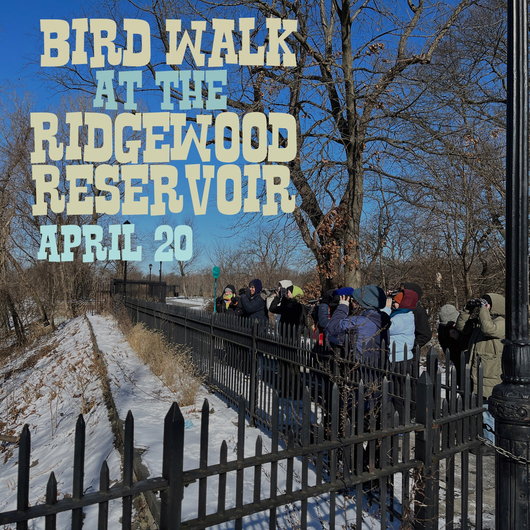 Ticket for Bird Walk at the Ridgewood Reservoir 4/20/24 10am-12noon