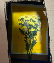 Load image into Gallery viewer, Turmeric Anthotype Workshop with Zoë Gleitsman Sunday 6/21/26 10am to 12noon