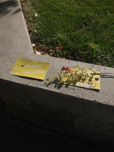 Load image into Gallery viewer, Turmeric Anthotype Workshop with Zoë Gleitsman Sunday 6/21/26 10am to 12noon