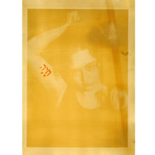 Load image into Gallery viewer, Turmeric Anthotype Workshop with Zoë Gleitsman Sunday 6/21/26 10am to 12noon