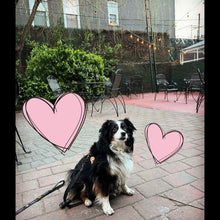 Load image into Gallery viewer, Speed Dating for Straights - Dates & Friends Thursday 12/4/25 7:30pm to 9pm at Willows