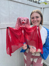 Load image into Gallery viewer, Puppet Building with Pincushion Puppet Club Saturday 6/6/26 1pm to 4pm
