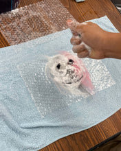 Load image into Gallery viewer, Wet Felting with Willow Sunday 10/25/26 1:30pm to 3:00pm