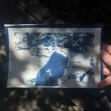 Load image into Gallery viewer, Cyanotype Workshop with Zoë Gleitsman Sunday 6/14/26 10am to 12noon
