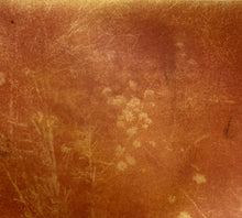 Load image into Gallery viewer, Turmeric Anthotype Workshop with Zoë Gleitsman Sunday 6/21/26 10am to 12noon
