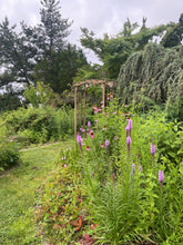 Load image into Gallery viewer, Intro to Native Garden Design with Matt Garczynski Sunday 6/7/26 1pm to 4pm
