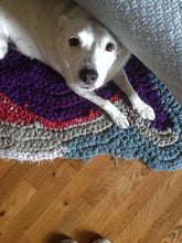 Load image into Gallery viewer, Crochet a Rag Rug: Beginner Sculptural Crochet with Lynn Sunday 11/22/26 3pm to 5:30pm
