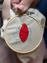 Load image into Gallery viewer, Medieval Bug Patches with Rhiannon Platt Sunday 11/8/26 3:30pm to 5:30pm
