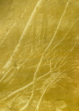 Load image into Gallery viewer, SolarFast Sun Printing with Zoë Gleitsman Sunday 8/23/26 12pm to 2pm
