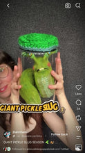Load and play video in Gallery viewer, Stabby Stab - Needle Felting Creatures with J Hann Saturday 8/22/26 3pm to 5:30pm
