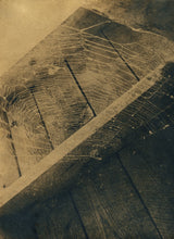 Load image into Gallery viewer, How to Bleach and Tone Cyanotypes with Zoë Gleitsman Sunday 6/28/26 12pm to 2pm
