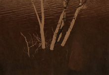 Load image into Gallery viewer, How to Bleach and Tone Cyanotypes with Zoë Gleitsman Sunday 6/28/26 12pm to 2pm
